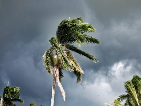Clouds forming and wind blowing during a monsoon